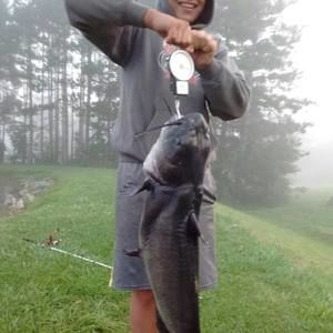 Meet your Posher, Billy